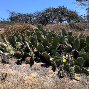 Meet your Posher, Maddy